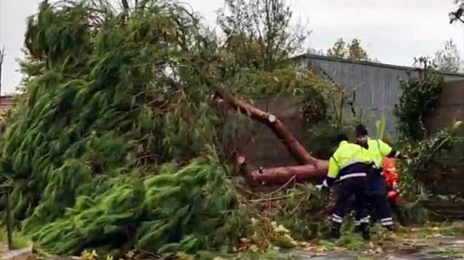 Tornado a Nettuno, il Comune chiede lo stato di calamità