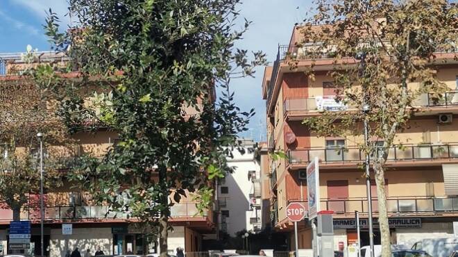 Torvaianica, iniziata la messa a dimora di 50 nuovi alberi in via Carlo Alberto Dalla Chiesa