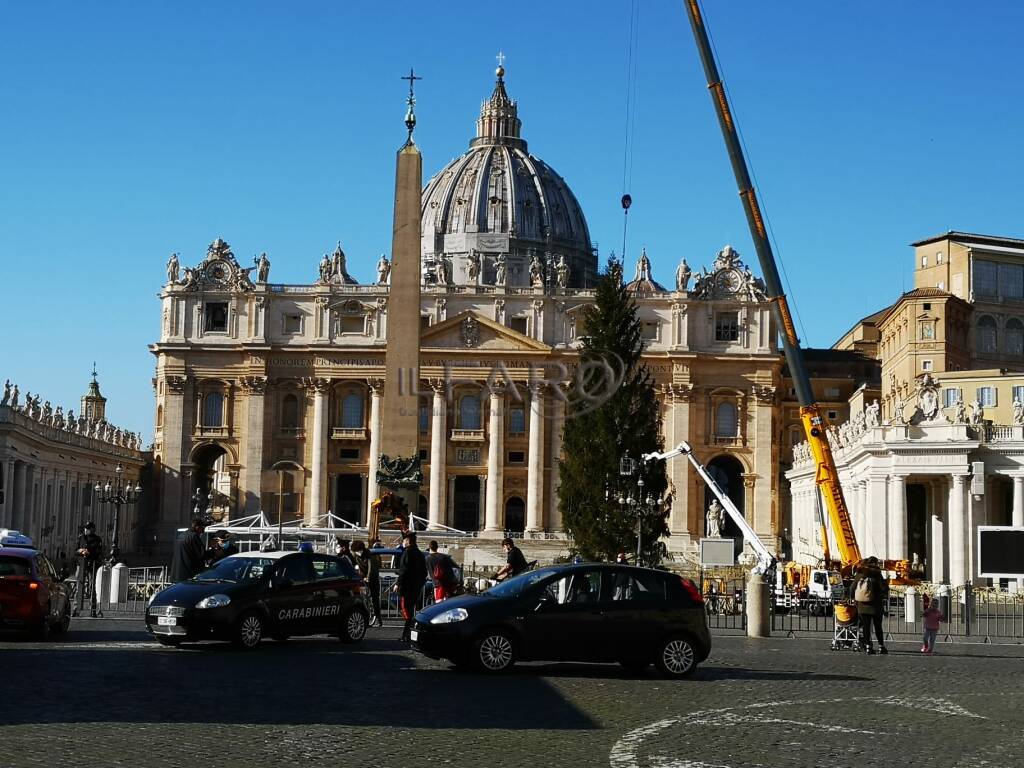 Natale work in progress in piazza San Pietro: al via l’allestimento di albero e presepe