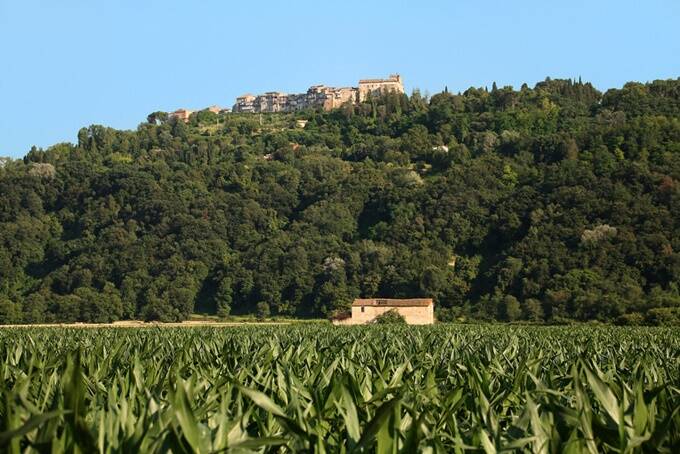 Regione Lazio, in commissione agricoltura parere favorevole al regolamento sui biodistretti