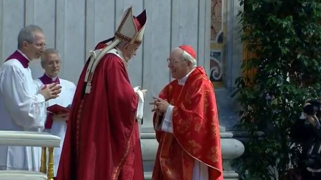 cardinal re papa francesco