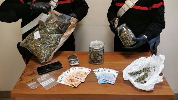Pomezia, i carabinieri intervengono per una lite e in casa trovano marijuana: arrestato