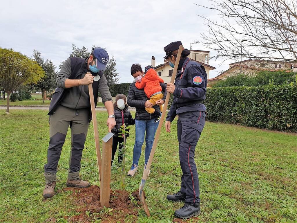 Festa dell’Albero 2020, messi a dimora 45 arbusti in via Campo Faiano a Borgo Vodice