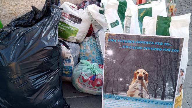 Il Pd di Montalto raccoglie decine di coperte e ciotole per cani e gatti randagi