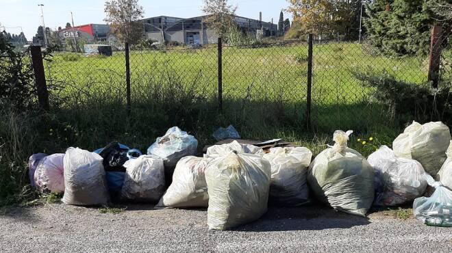 Anzio, volontari all’opera per ripulire il quartiere Zodiaco: raccolti oltre 200 chili di rifiuti