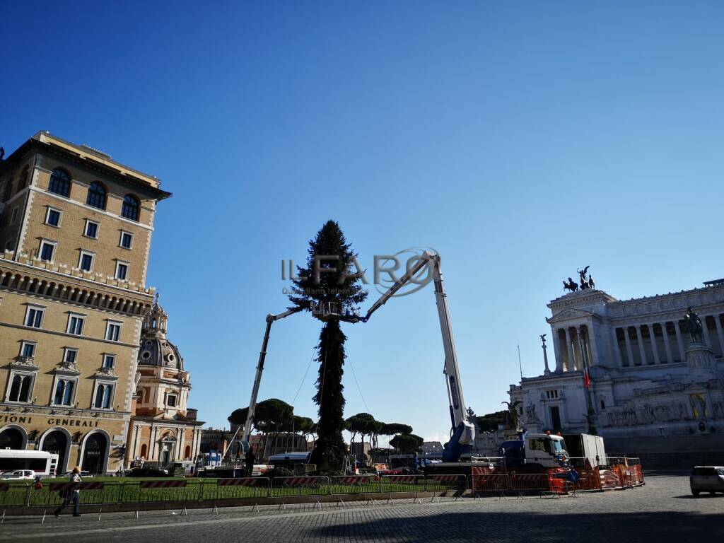 Natale 2020, in piazza Venezia arriva "Spelacchio": al via l'addobbo
