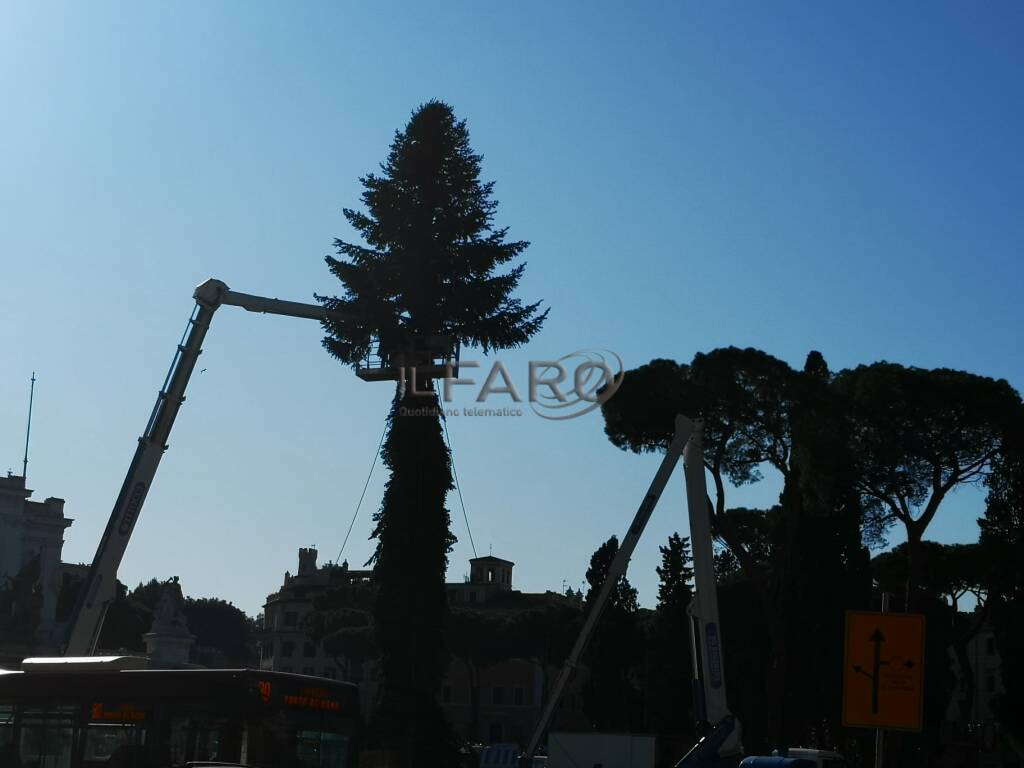 Natale 2020, in piazza Venezia arriva &#8220;Spelacchio&#8221;: al via l&#8217;addobbo