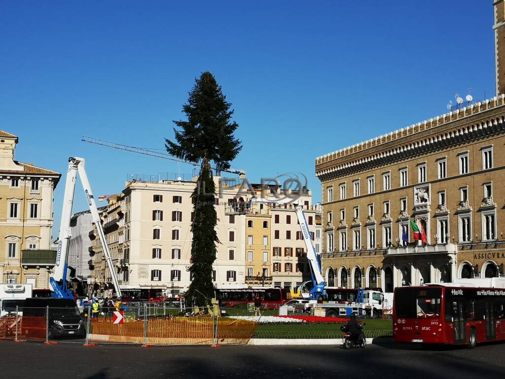 Natale 2020, in piazza Venezia arriva &#8220;Spelacchio&#8221;: al via l&#8217;addobbo