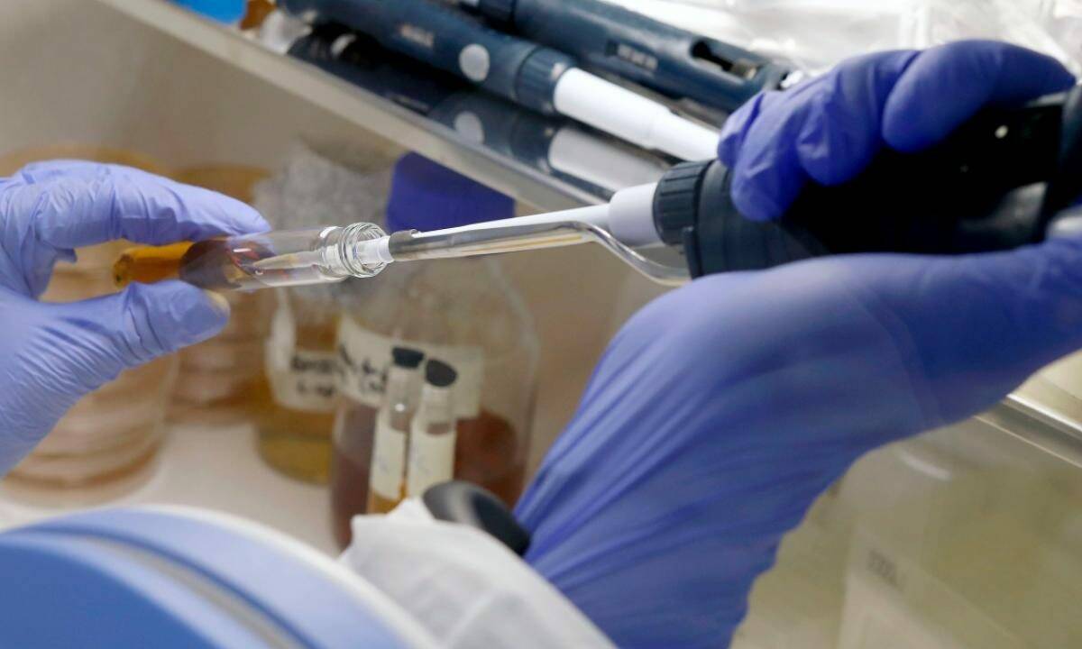 Coronavirus, in Vaticano vaccinazioni ai dipendenti a partire da metà gennaio
