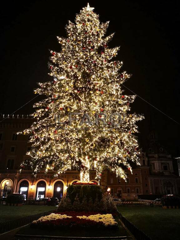 Roma, si accende "Spelacchio": 100mila luci a led fanno brillare piazza Venezia