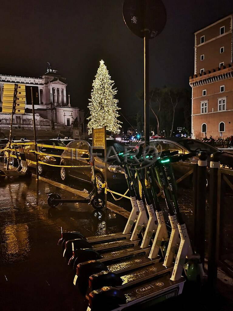 Roma, si accende &#8220;Spelacchio&#8221;: 100mila luci a led fanno brillare piazza Venezia
