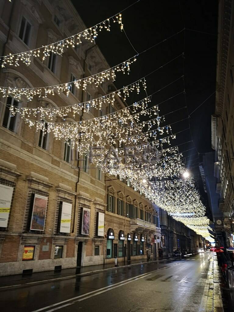 Roma, si accende &#8220;Spelacchio&#8221;: 100mila luci a led fanno brillare piazza Venezia
