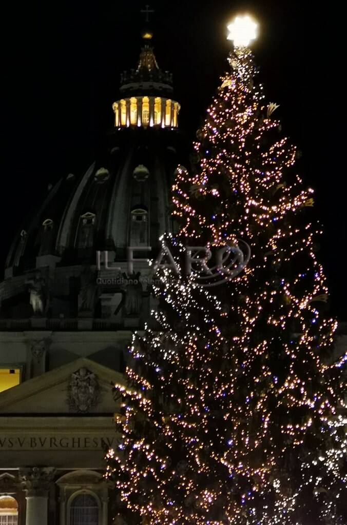 In piazza San Pietro si accendono albero e presepe: “Segni di speranza per i romani”