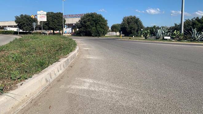 Civitavecchia, terminato l’intervento di pulizia e manutenzione del verde in zona industriale