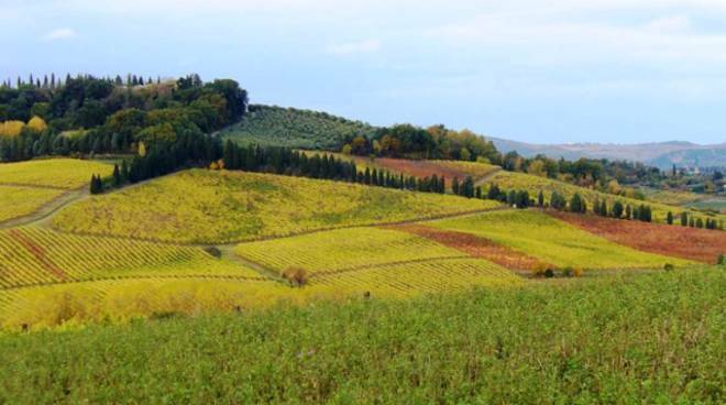 Agricoltura biologica, la Regione riconosce 5 biodistretti nel Lazio