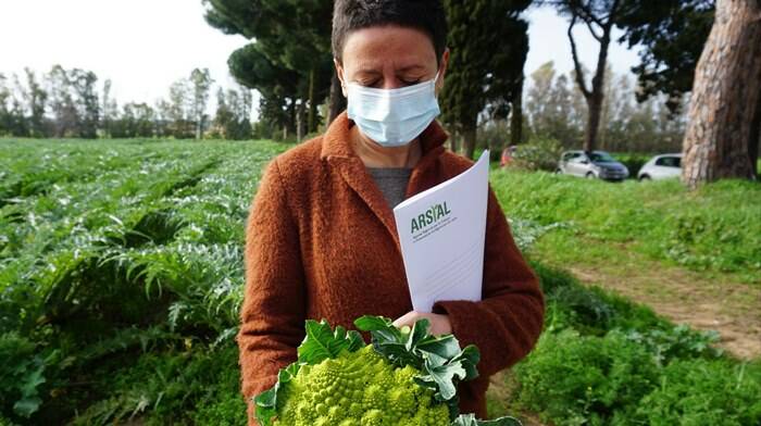 Antonelli: “La Regione pronta a valorizzare il biodistretto etrusco-romano”