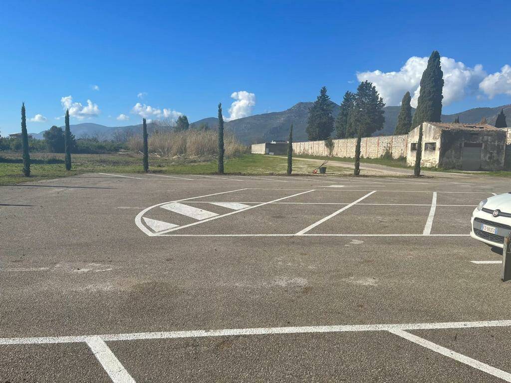 Un boschetto di cipressi in memoria delle vittime del Covid al cimitero di Fondi