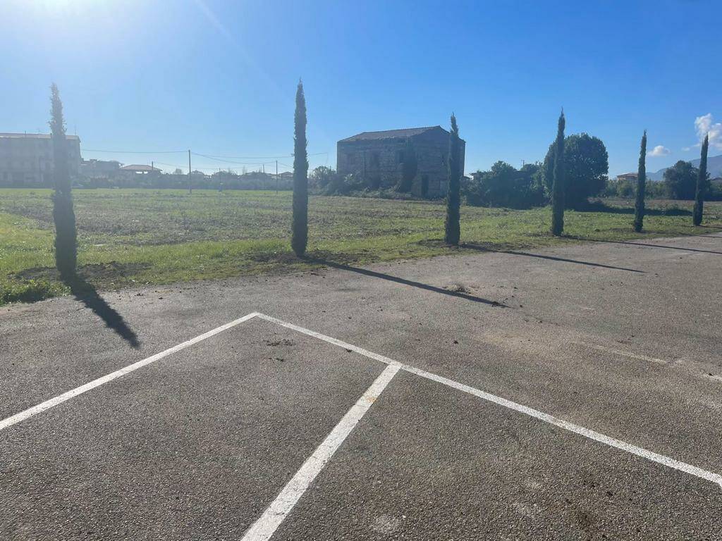 Un boschetto di cipressi in memoria delle vittime del Covid al cimitero di Fondi