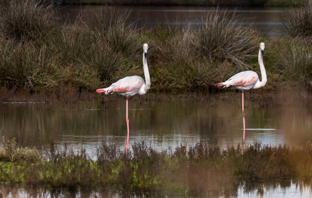 Nuova sezione per i “Racconti di Sabaudia 2021”: anche la fotografia entra in concorso