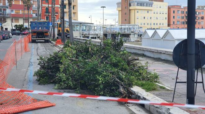 Anzio, restyling completo della Riviera Mallozzi: al via i lavori