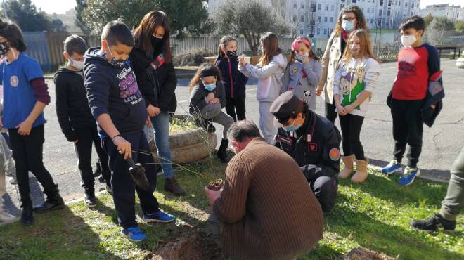 Acilia, la scuola Aristide Leonori inaugura il progetto “Un albero per il futuro”