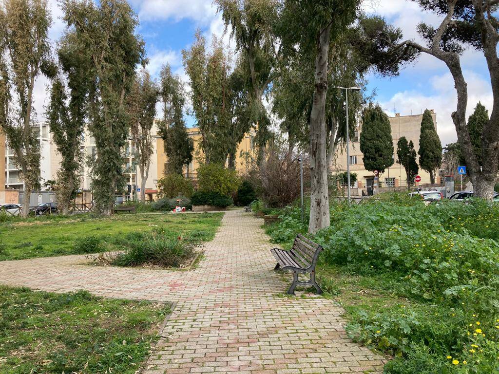 Il vicesindaco Magliani: “Verde e arredo urbano, Civitavecchia cambia aspetto”