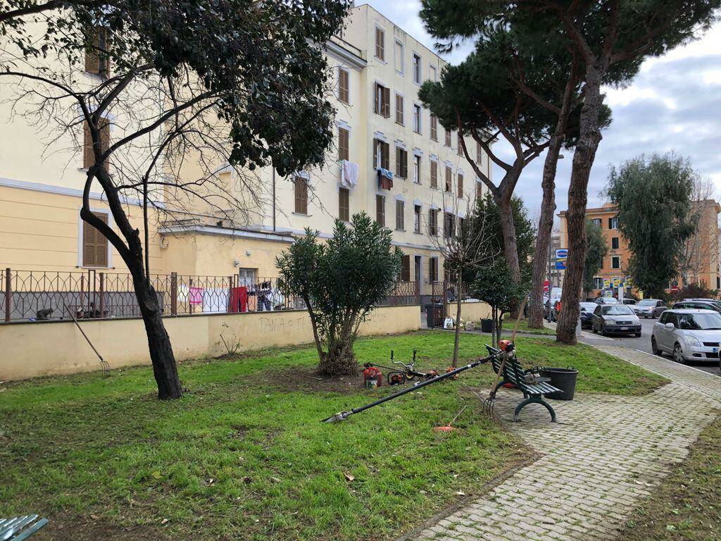 Mecozzi. “La campagna su Verde e arredo urbano restituisce dignità a Civitavecchia”