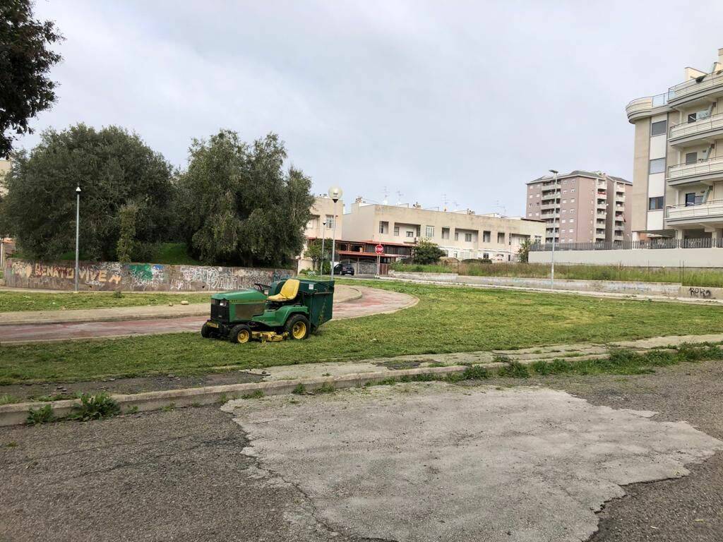 verde pubblico civitavecchia