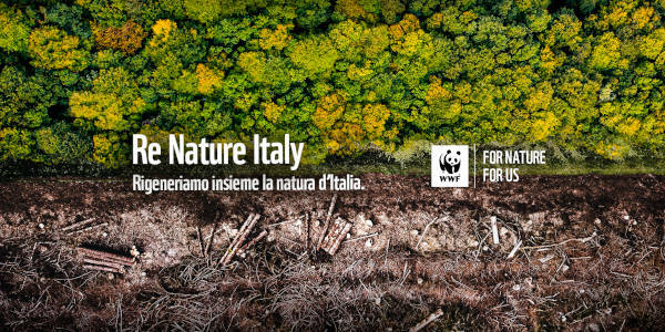 “ReNature Italy”: la proposta del Wwf per rigenerare la biodiversità del Paese