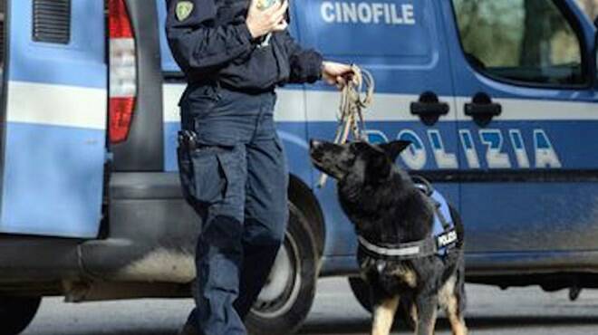 Roma, i cani poliziotto smascherano l’esercente pusher