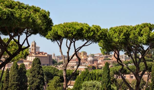 Raggi: “2.500 alberi piantati a Roma entro la fine del 2021”