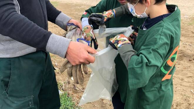 Pulizia delle spiagge, tornano gli appuntamenti del Wwf a Ostia e Focene