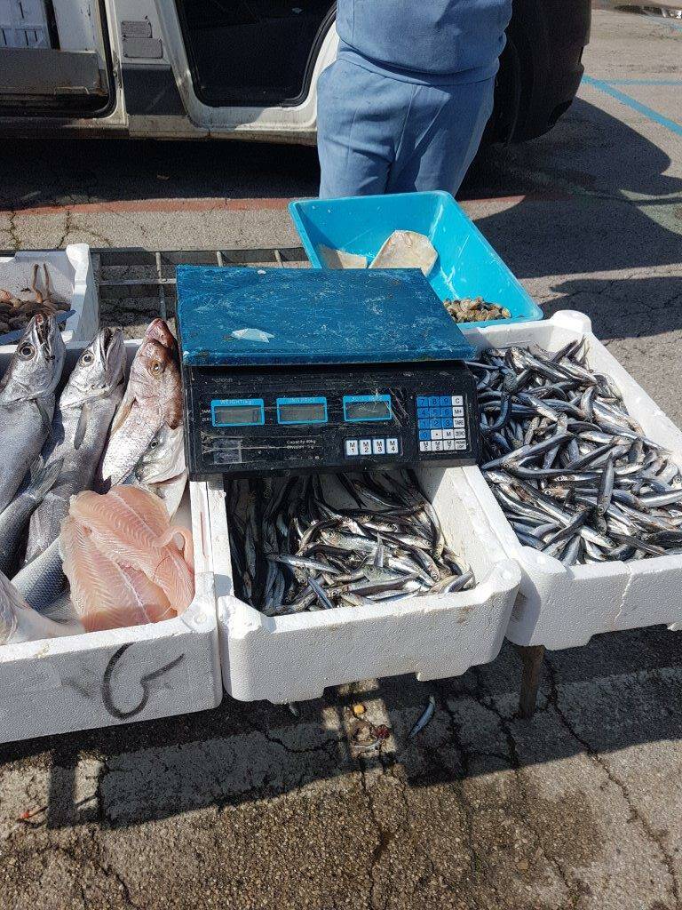 Venditore abusivo al mercato di Scauri: sequestrati 23 chili di prodotti ittici