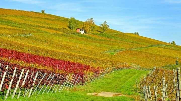 Zone montane, Onorati: “Ulteriore finanziamento di 3.700,000 euro per le imprese agricole”