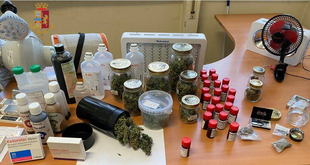 Roma, infermiere professionale e coltivatore diretto di… marijuana: arrestato