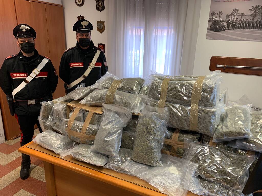 Sulla Roma-Civitavecchia con 60 chili di marijuana in auto: arrestato trafficante