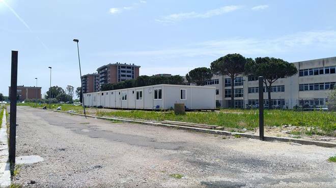 “L’albero sospeso”: dona una pianta per abbellire il villaggio della Misericordia a Parco Leonardo