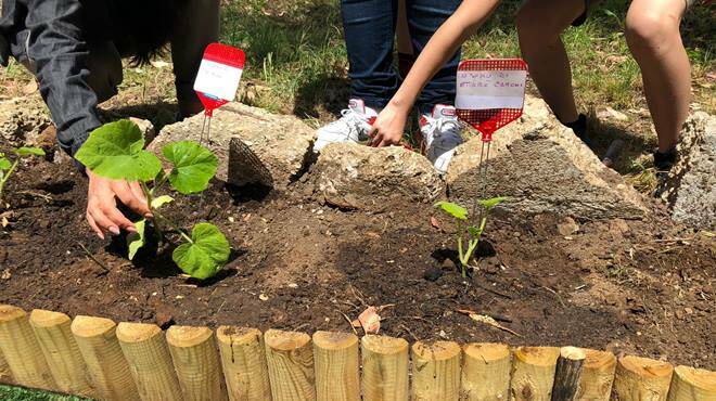 “Adotta una Pianta” al Parco Rielasingen di Ardea: l’iniziativa dedicata all’ambiente