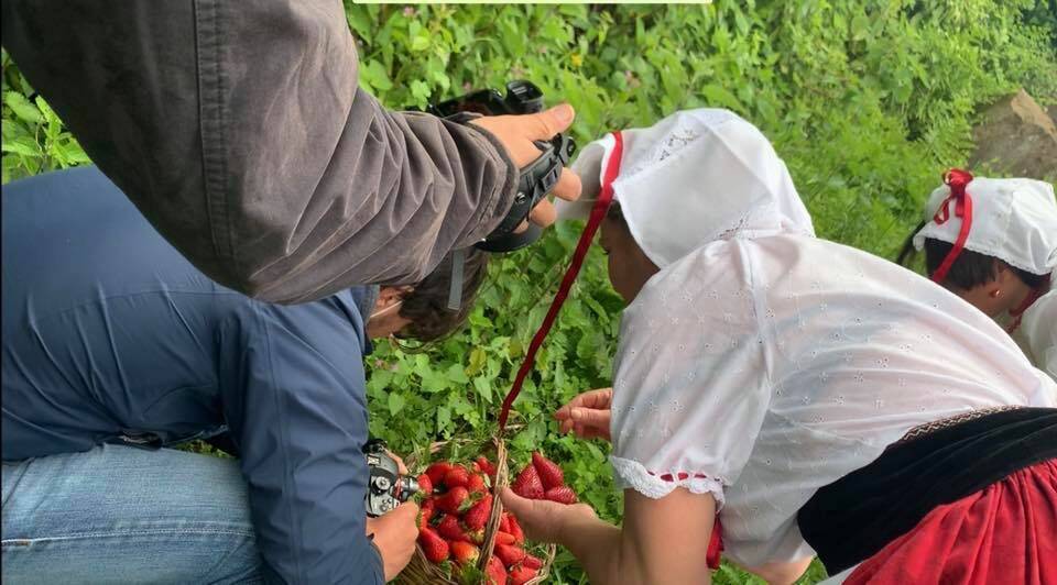 Nemi al via l’ 88° edizione della Sagra delle Fragole “social”