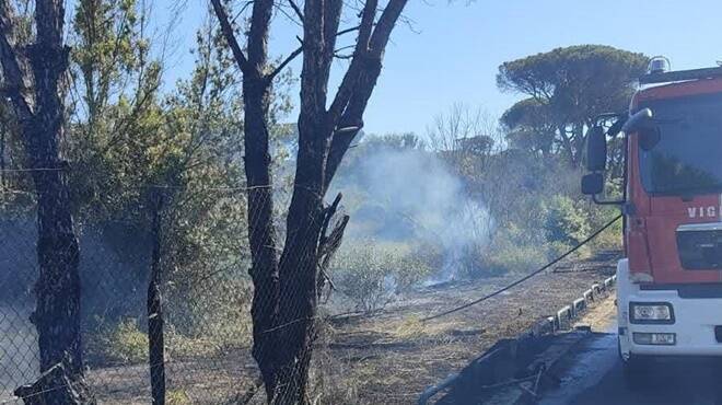 Incendio nella pineta di Castel Fusano: le fiamme arrivano fino alla Colombo