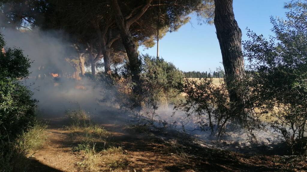 Cerveteri, il fuoco avvolge la pineta di via di Zambra