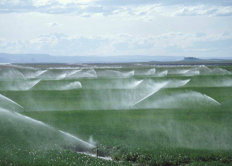 Al via i lavori di completamento degli impianti di irrigazione nella Piana di Tarquinia