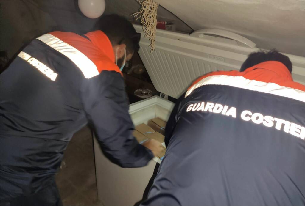 Controlli sulla filiera della pesca: 140 chili di polpo congelato sequestrato a Ponza