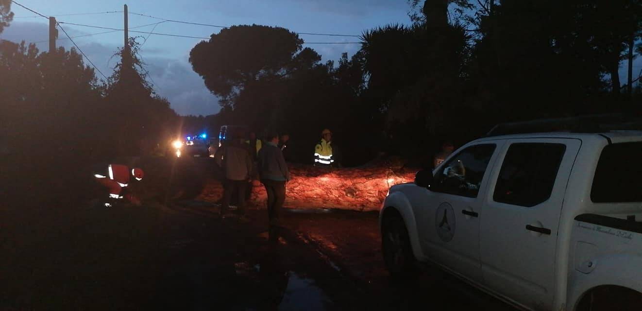 Cerveteri, un’estate piena di impegni per il Gruppo Comunale di Protezione Civile