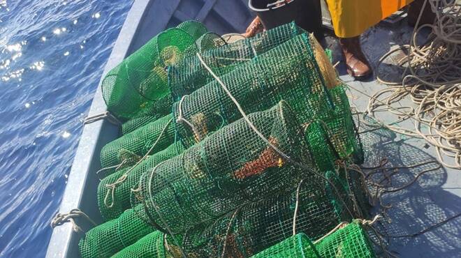 Pesca illegale e carburante nautico venduto a nero: pioggia di multe a Civitavecchia