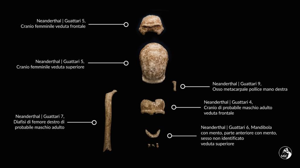 Nuova scoperta al Circeo: dalle ombre del tempo riemergono 9 uomini di Neanderthal