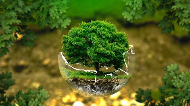 Ambiente, al via il confronto con Friday For Future sulla Transizione Ecologica