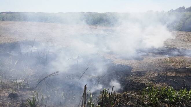 Giornata “di fuoco” ad Ardea, in fiamme immondizia e sterpaglie: 4 incendi in poche ore
