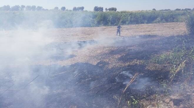 Giornata “di fuoco” ad Ardea, in fiamme immondizia e sterpaglie: 4 incendi in poche ore
