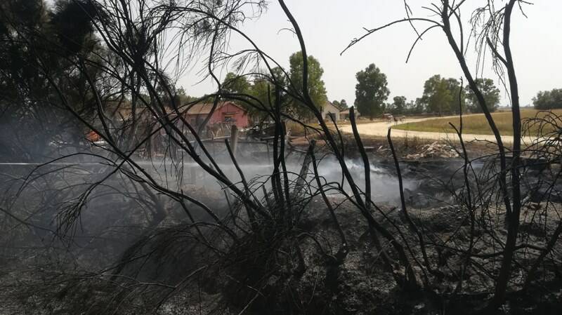 Aeroporto di Fiumicino, in fiamme ettari di sterpaglie in via della Corona Boreale